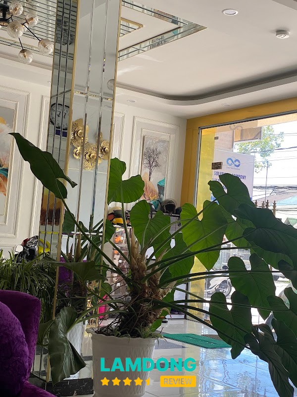 Thẩm Mỹ Vin Spa Đà Lạt – không gian làm đẹp