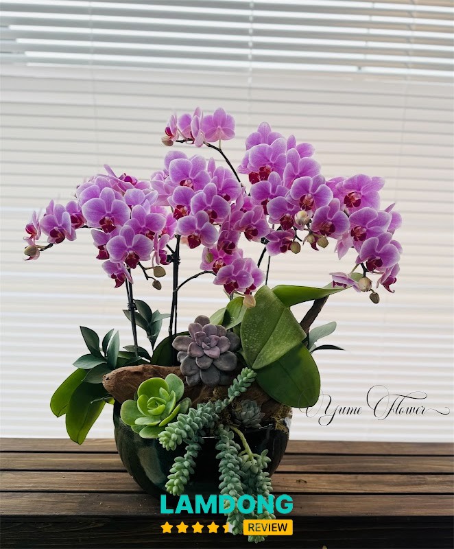 Tiệm hoa Đà Lạt - Yume Flower – 159 Nguyễn Công Trứ