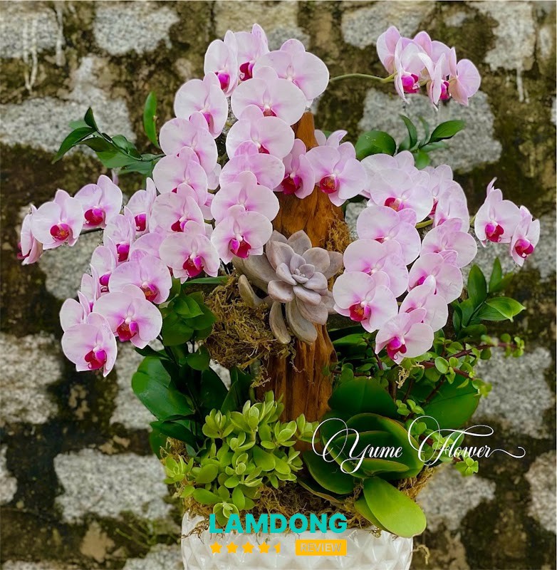 Yume Flower Đà Lạt – hoa tươi