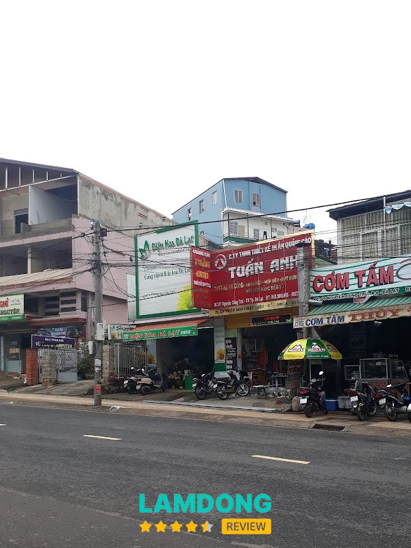 Shop Điện Hoa Đà Lạt – 07 Nguyễn Công Trứ