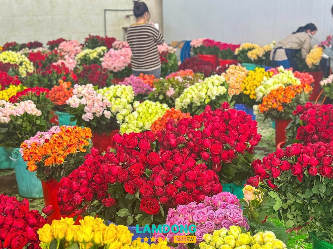 Dalat.Flowers – chợ hoa Đà Lạt